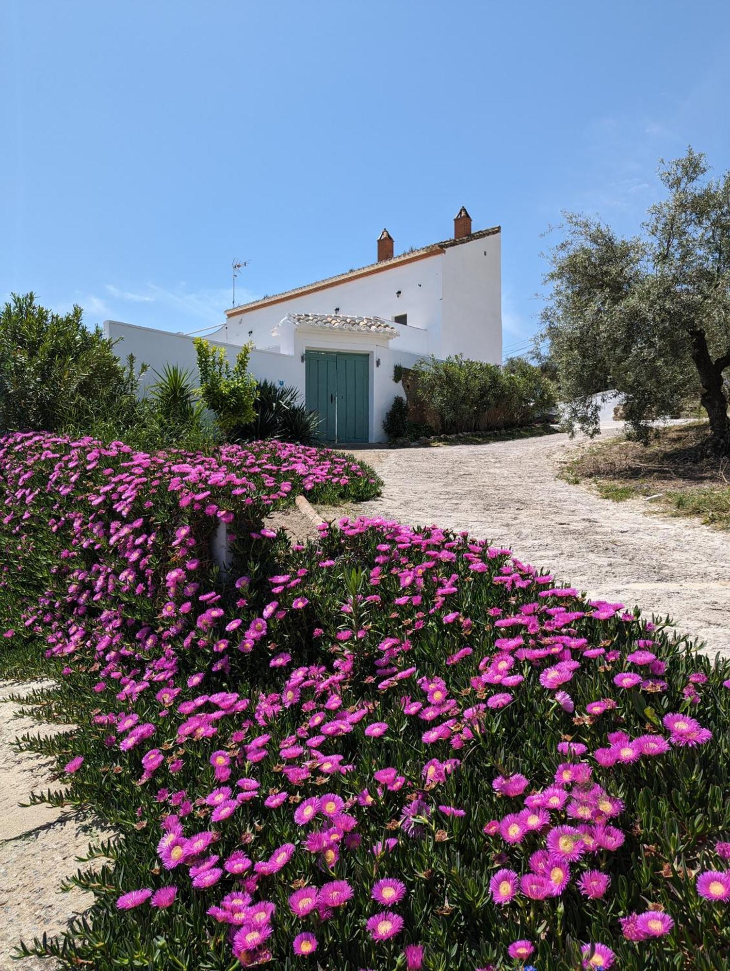 Casa Las Majadillas Iznájar Kültér fotó